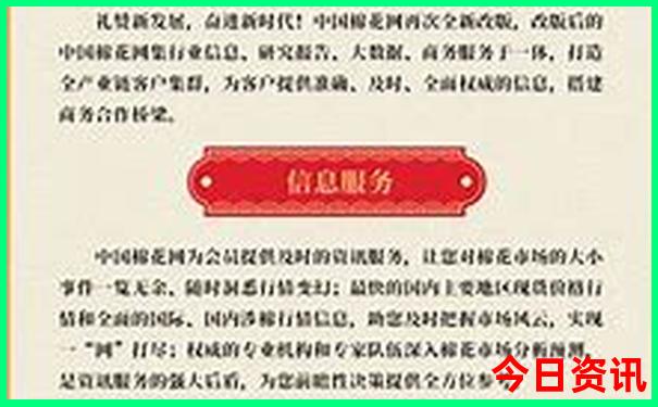 女网排名前十名最新名单